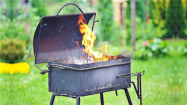 The best barbecue made of metal for garden 2020