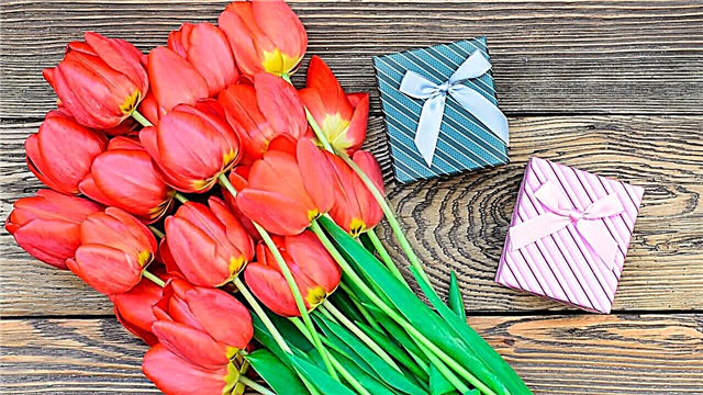 Most popular gifts on March 8