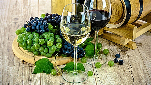 Cele mai bune domenii ale turismului viticol 2020