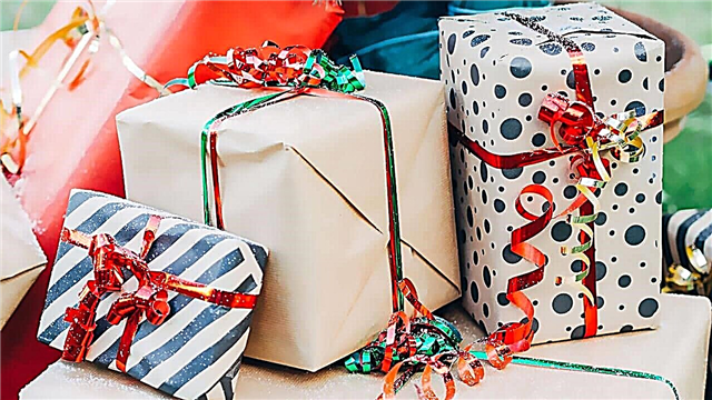 Las 20 mejores ideas de regalos de Año Nuevo 2020