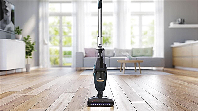 Rating of vertical vacuum cleaners 2019