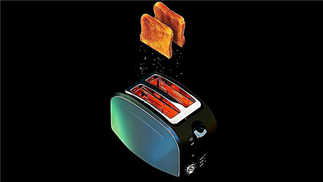 Rating of toasters of 2019, 10 best models for home