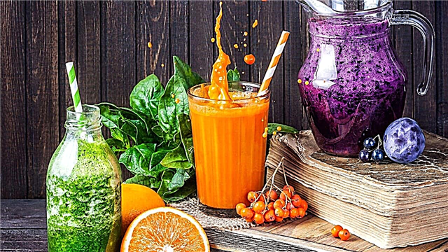 10 bebidas mais saudáveis ​​para a saúde