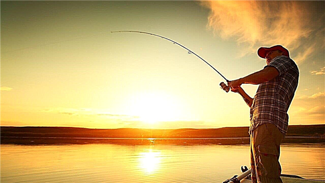 10 bästa länderna för fiske på sommaren och vintern