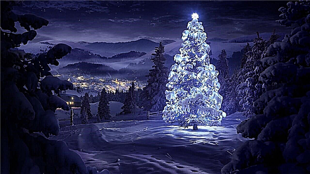 Los árboles de Navidad más bellos e inusuales del mundo.