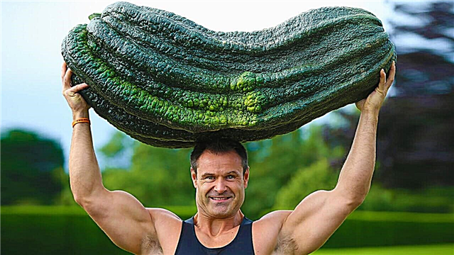 10 größten Obst und Gemüse der Welt