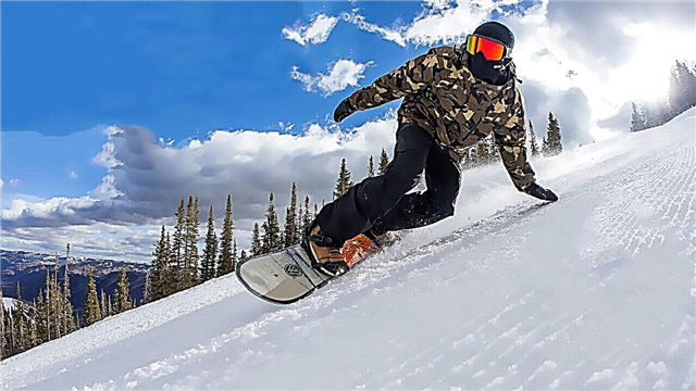 Beste snowboards 2018-2019, goede houtwaardering