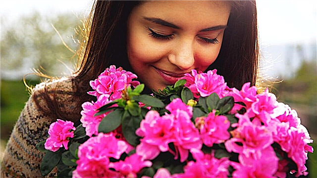 10 flores fragantes con el olor más agradable