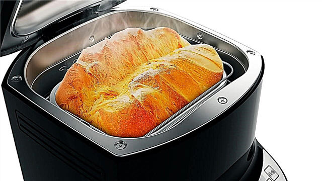 Rating of the 10 best bread machines of 2018 by price / quality