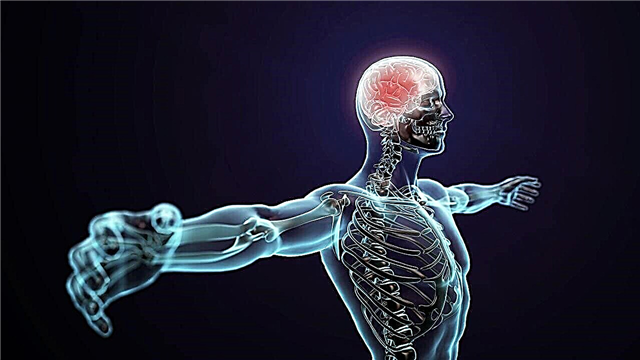 Top 10 false facts about the human body