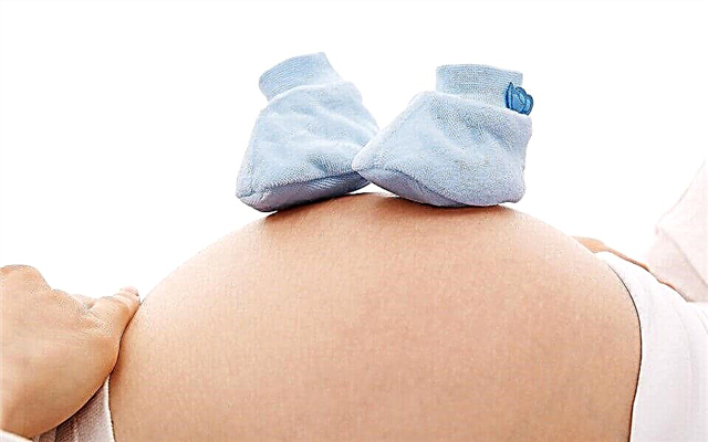 20 interessante feiten over zwangerschap