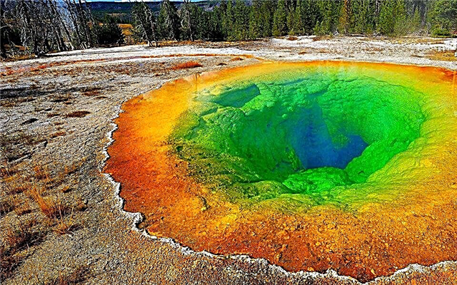 The most toxic ponds on the planet