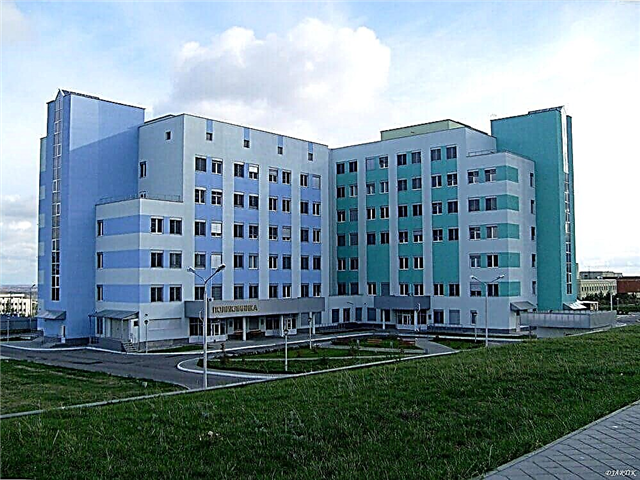 Valutazione dei migliori centri perinatali della Russia