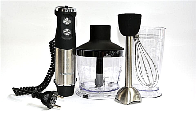 Overview of the STARWIND SBP5655b Hand Blender