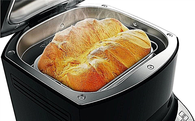 Rating of the 10 best bread machines of 2017 by price / quality