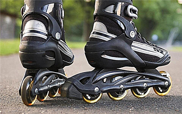 Rating of the top 10 roller skates of 2017
