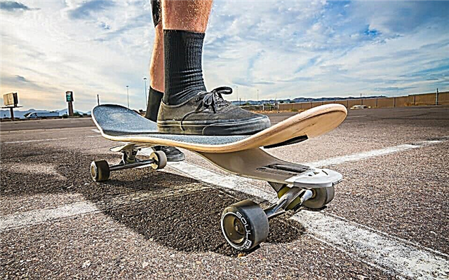 Top 10 best skateboards from the best companies