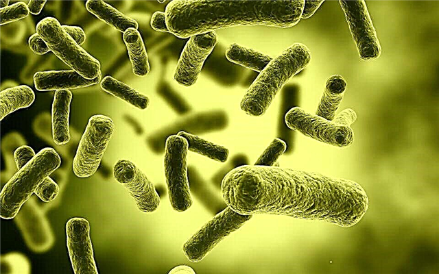 Rating of 12 most dangerous super bacteria