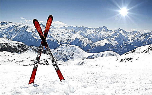 Los 5 mejores fabricantes de esquí