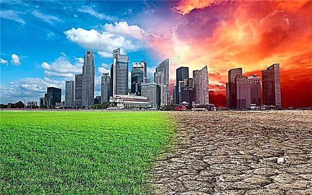 Top 5 tappavaa tautia ilmaston lämpenemisestä