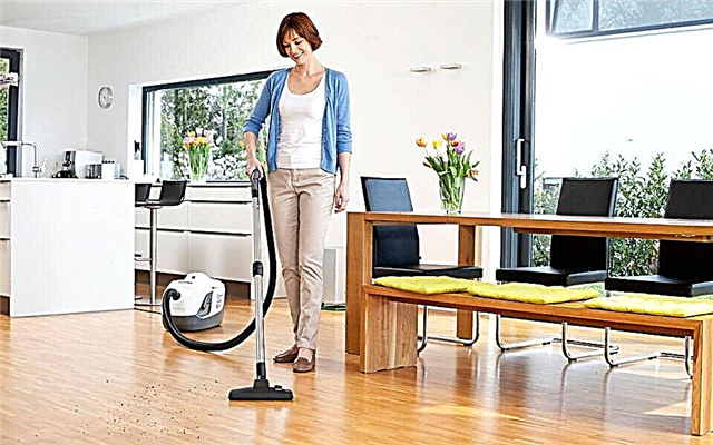 Rating of the best vacuum cleaners with aquafilter 2016