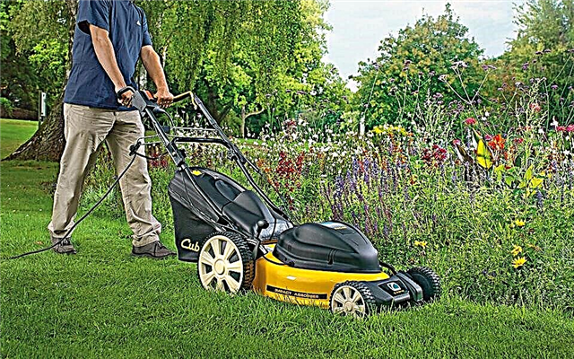 Máy cắt cỏ điện: xếp hạng các mô hình tốt nhất