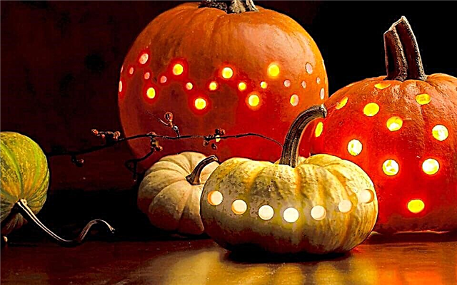 Top 5 des histoires de traditions d'Halloween étranges