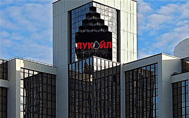 Top 3 largest private companies in Russia