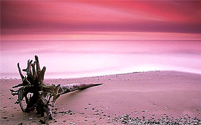 Top 10 most beautiful pink beaches in the world
