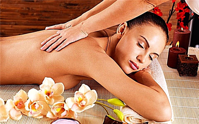 The best SPA salons in Moscow - Rating of 2015