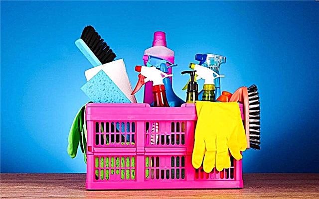 Top 5 best cleaning companies in Moscow