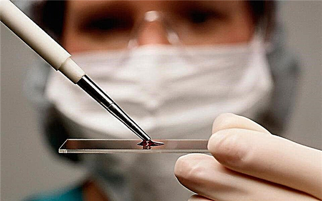 Bewertung von IVF-Kliniken in Russland