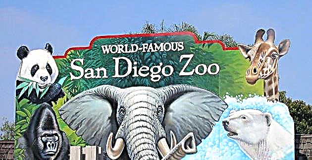 أكبر 10 حدائق حيوان في العالم