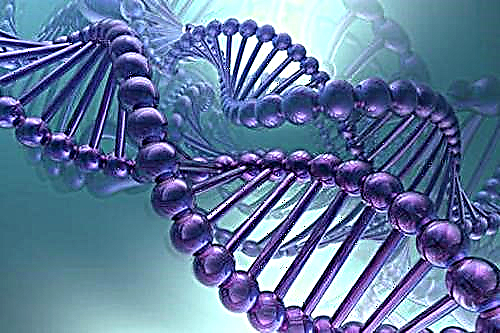 Топ-10 дивовижних фактів про ДНК
