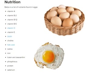 10 potravin pro získání svalové hmoty